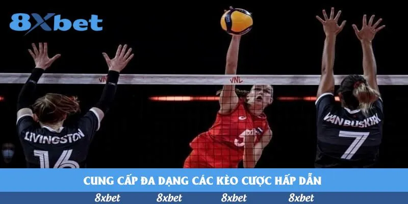 Cung cấp đa dạng các kèo cược hấp dẫn